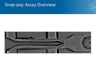 Drop-seq: Assay Overview
 