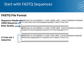 Start with FASTQ Sequences
FASTQ File Format
Sequence Header
cDNA Sequence
Base Quality
4 Lines are 1
sequence
 