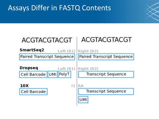 Assays Differ in FASTQ Contents
 