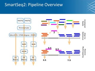 Introduction to Single-cell RNA-seq | PPTX