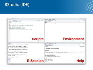 RStudio (IDE)
 