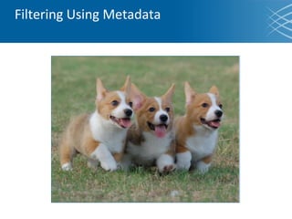 Filtering Using Metadata
 