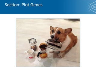 Section: Plot Genes
 