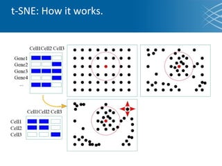 t-SNE: How it works.
 