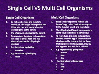 Single cell vs multi cell organisms