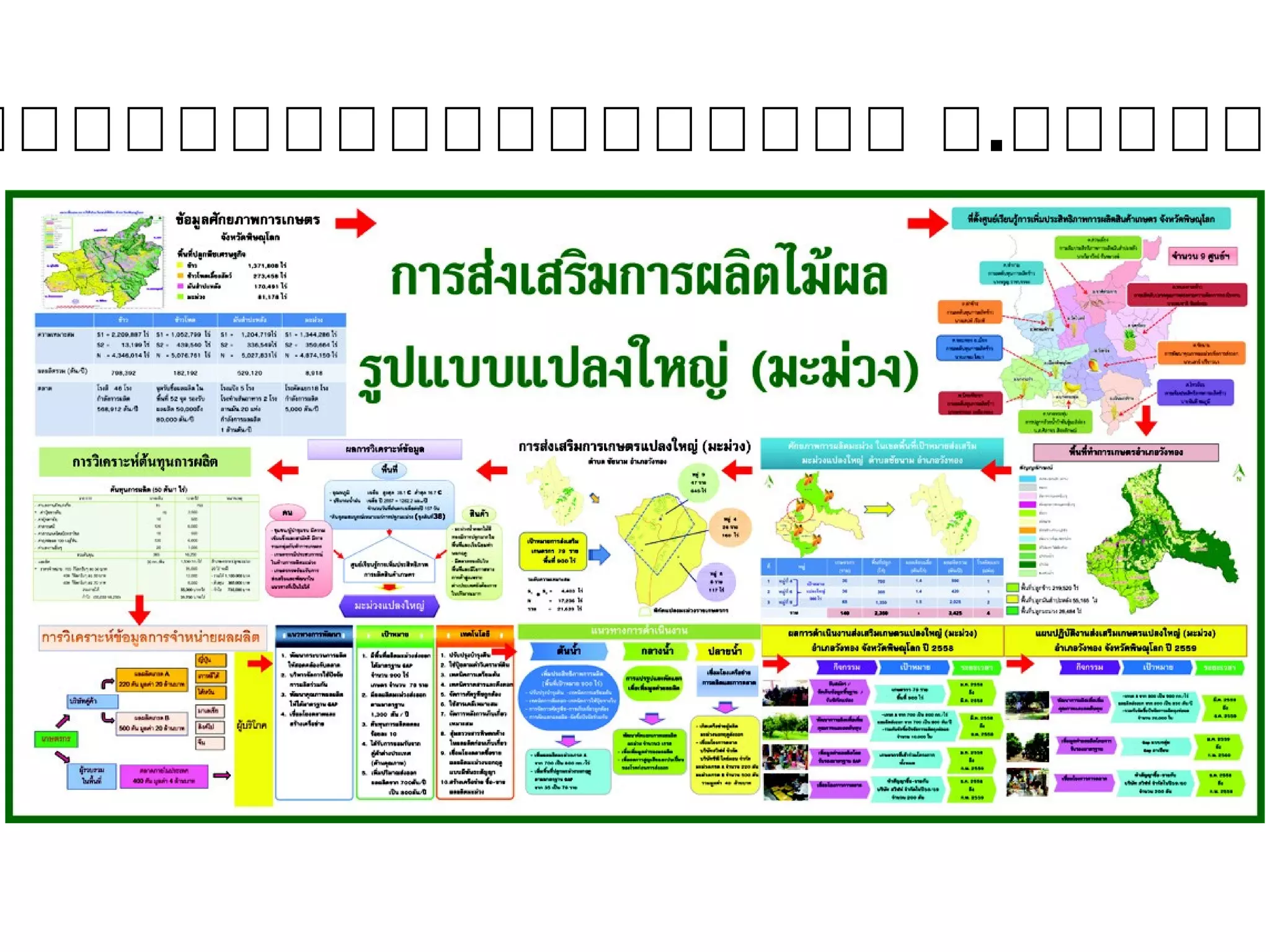 ตัวอย่างการส่งเสริมแปลงใหญ่ จ.พิษณุโลก (มะม่วง)
 