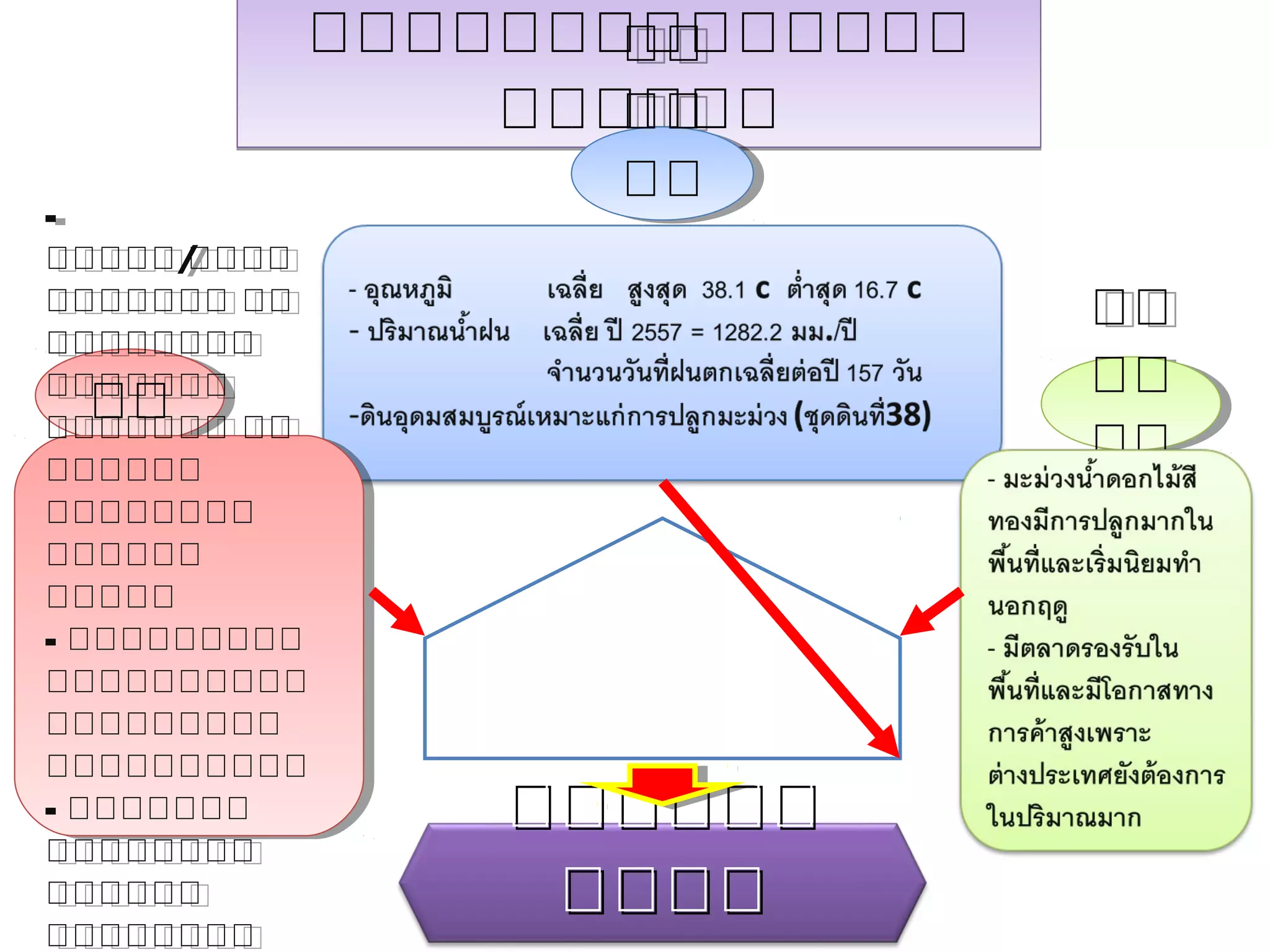 ผลการวิเคราะห์ข้อมูล
พื้นที่
สินค้าคน
- อุณหภูมิ เฉลี่ย สูงสุด 38.1 c ต่าสุด 16.7 c
- ปริมาณน้าฝน เฉลี่ย ปี 2557 = 1282.2 มม./ปี
จานวนวันที่ฝนตกเฉลี่ยต่อปี 157 วัน
-ดินอุดมสมบูรณ์เหมาะแก่การปลูกมะม่วง (ชุดดินที่38)
- มะม่วงน้าดอกไม้สี
ทองมีการปลูกมากใน
พื้นที่และเริ่มนิยมทา
นอกฤดู
- มีตลาดรองรับใน
พื้นที่และมีโอกาสทาง
การค้าสูงเพราะ
ต่างประเทศยังต้องการ
ในปริมาณมาก
- ชุมชน/ผู้นาชุมชน มีความ
เข้มแข็งและสามัคคี มีการ
รวมกลุ่มกันทาการเกษตร
- เกษตรกรมีประสบการณ์
ในด้านการผลิตมะม่วง
- เกษตรกรพร้อมรับการ
ส่งเสริมและพัฒนาใน
แนวทางที่เป็นไปได้
ศูนย์เรียนรู้การเพิ่มประสิทธิภาพ
การผลิตสินค้าเกษตร
มะม่วงแปลงใหญ่
 