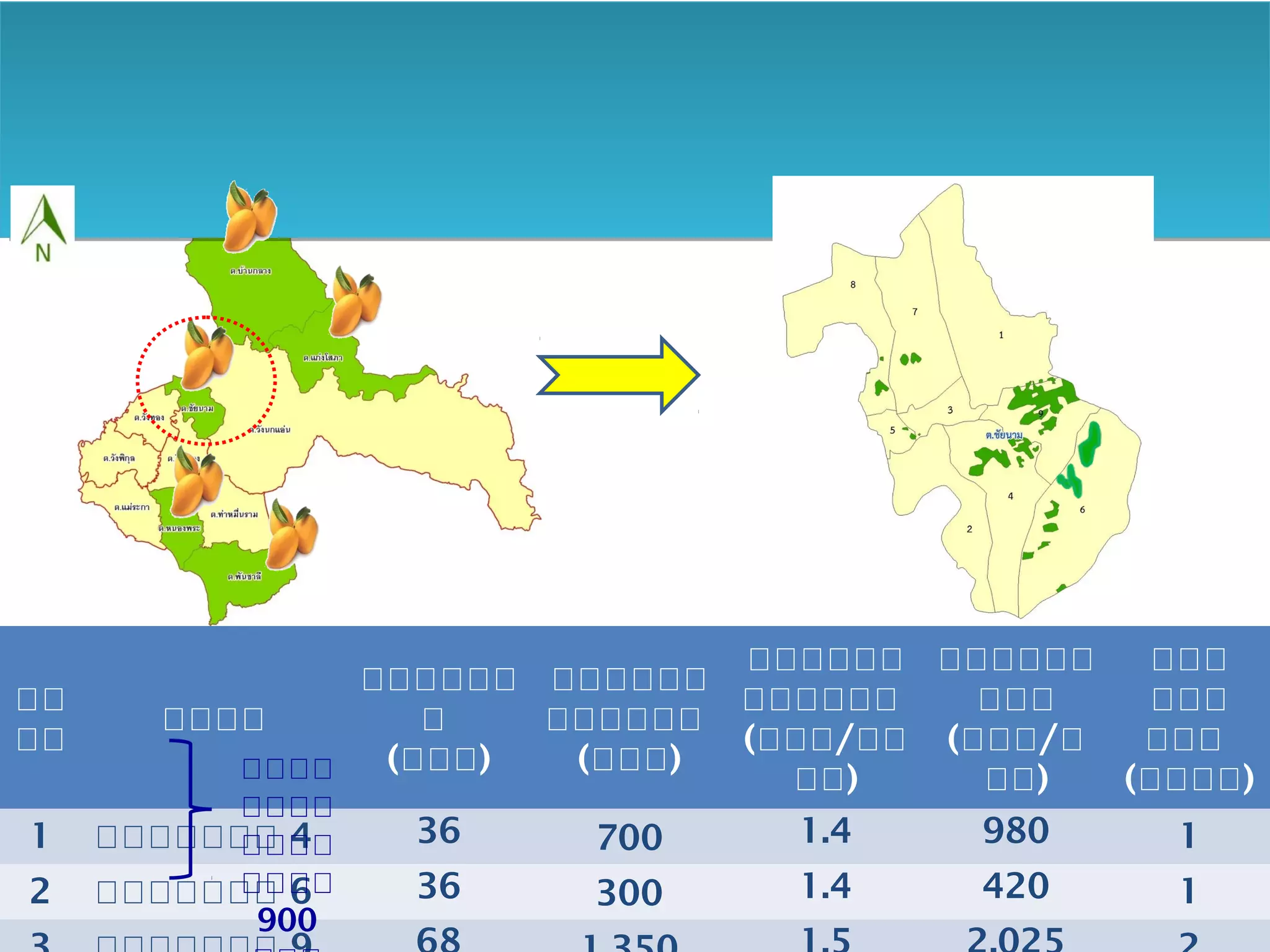 ศักยภาพการผลิตมะม่วง ในเขตพื้นที่เป้ าหมายส่งเสริม
มะม่วงแปลงใหญ่ ตาบลชัยนาม อาเภอวังทอง
ที่ หมู่
เกษตรกร
(ราย)
พื้นที่ปลูก
(ไร่)
ผลผลิตเฉลี่ย
(ตัน/ไร่)
ผลผลิตรวม
(ตัน/ปี)
โรงคัดแยก
(แห่ง)
1 หมู่ที่ 4 36 700 1.4 980 1
2 หมู่ที่ 6 36 300 1.4 420 1
3 หมู่ที่ 9 68 1,350 1.5 2,025 2
รวม 140 2,350 - 3,425 4
เป้ าหมาย
แปลงใหญ่
900 ไร่
 