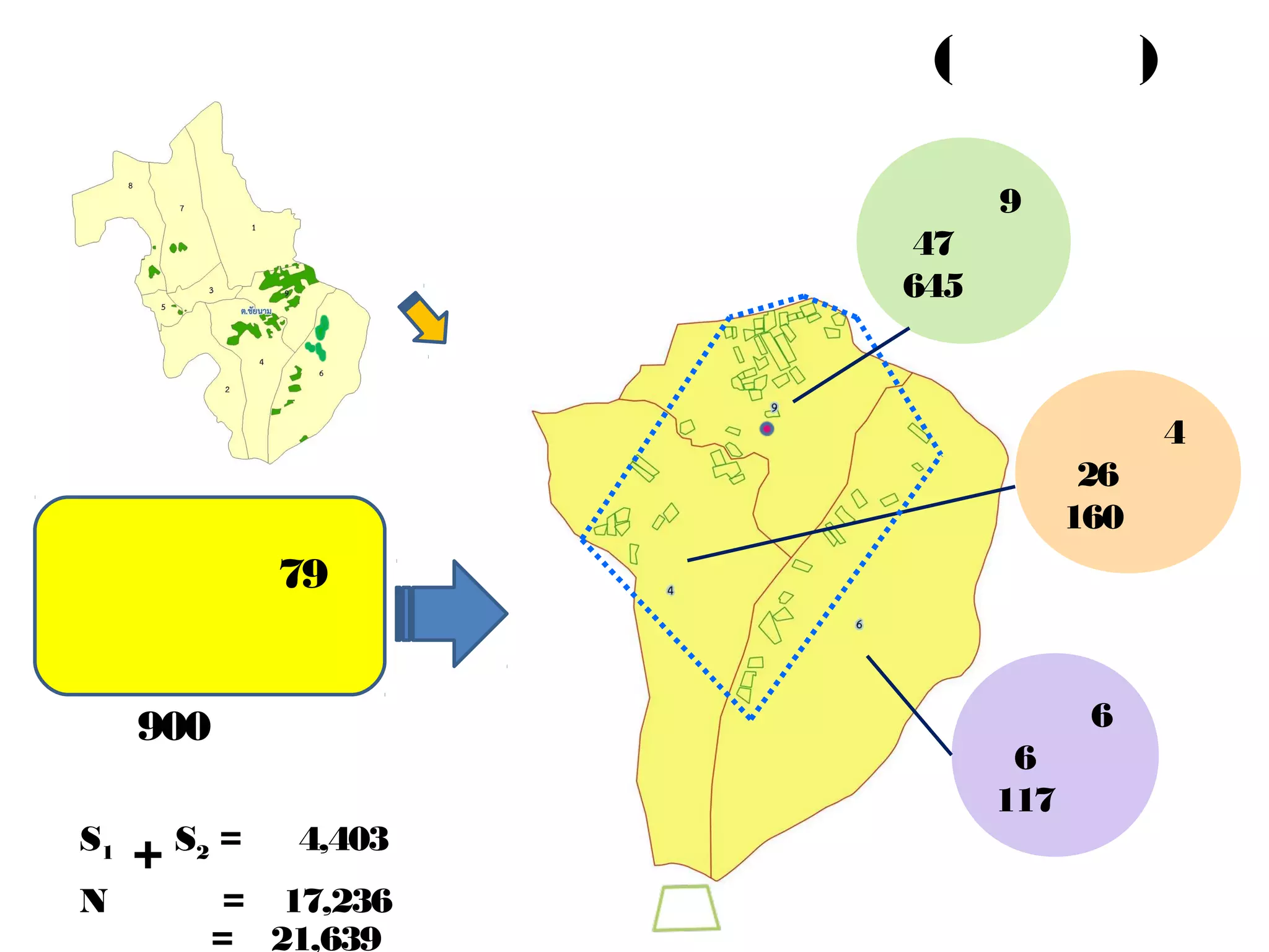 การส่งเสริมการเกษตรแปลงใหญ่ (มะม่วง)
ตาบล ชัยนาม อาเภอวังทอง
ระดับความเหมาะสม
S1
+ S2 = 4,403 ไร่
N = 17,236 ไร่
รวม = 21,639 ไร่
เป้ าหมายการส่งเสริม
เกษตรกร 79 ราย
พื้นที่ 900 ไร่
พิกัดแปลงมะม่วงรายเกษตรกร
หมู่ 4
26 ราย
160 ไร่
หมู่ 9
47 ราย
645 ไร่
หมู่ 6
6 ราย
117 ไร่
 