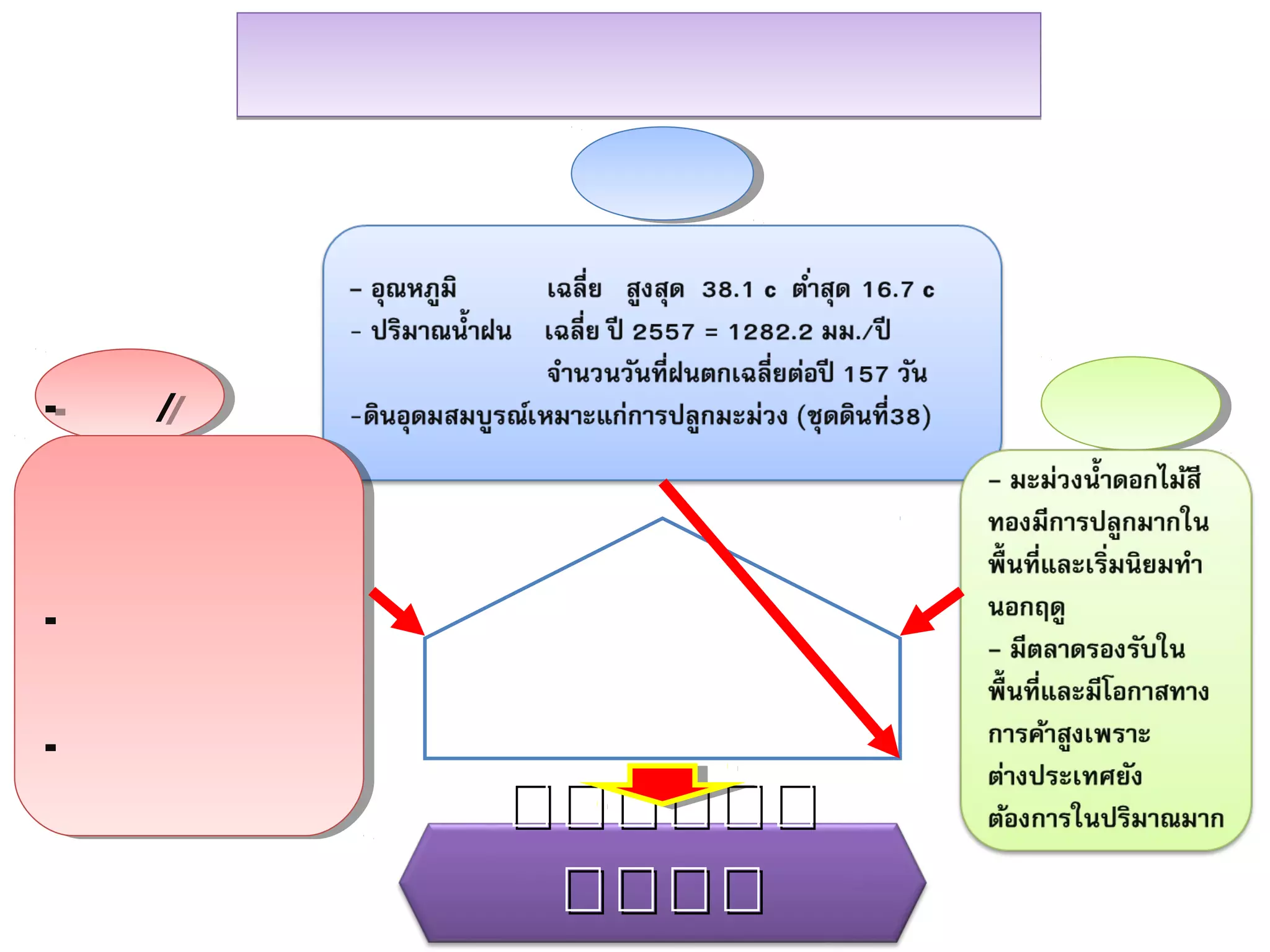 ผลการวิเคราะห์ข้อมูล
พื้นที่
สินค้าคน
- อุณหภูมิ เฉลี่ย สูงสุด 38.1 c ต่าสุด 16.7 c
- ปริมาณน้าฝน เฉลี่ย ปี 2557 = 1282.2 มม./ปี
จานวนวันที่ฝนตกเฉลี่ยต่อปี 157 วัน
-ดินอุดมสมบูรณ์เหมาะแก่การปลูกมะม่วง (ชุดดินที่38)
- มะม่วงน้าดอกไม้สี
ทองมีการปลูกมากใน
พื้นที่และเริ่มนิยมทา
นอกฤดู
- มีตลาดรองรับใน
พื้นที่และมีโอกาสทาง
การค้าสูงเพราะ
ต่างประเทศยัง
ต้องการในปริมาณมาก
- ชุมชน/ผู้นาชุมชน มีความ
เข้มแข็งและสามัคคี มีการ
รวมกลุ่มกันทาการเกษตร
- เกษตรกรมีประสบการณ์
ในด้านการผลิตมะม่วง
- เกษตรกรพร้อมรับการ
ส่งเสริมและพัฒนาใน
แนวทางที่เป็นไปได้
ศูนย์เรียนรู้การเพิ่มประสิทธิภาพ
การผลิตสินค้าเกษตร
มะม่วงแปลงใหญ่
 