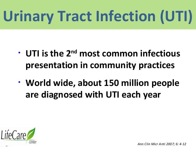 Norfloxacin Dosage For Urinary Tract Infection