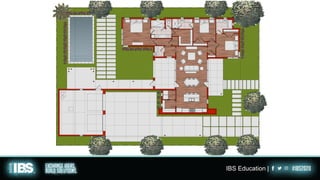IBS Education |
 