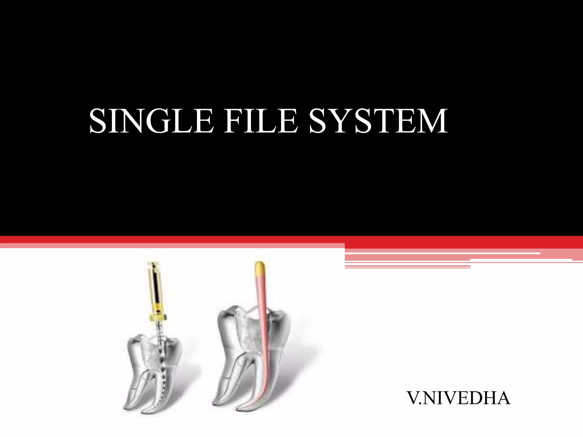 Single file system PPT