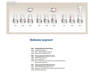 Single-Incision Internal Fixation Technique for Distal Tibia and Fibula ...