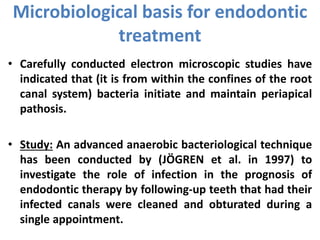 • Carefully conducted electron microscopic studies have
indicated that (it is from within the confines of the root
canal system) bacteria initiate and maintain periapical
pathosis.
• Study: An advanced anaerobic bacteriological technique
has been conducted by (JÖGREN et al. in 1997) to
investigate the role of infection in the prognosis of
endodontic therapy by following-up teeth that had their
infected canals were cleaned and obturated during a
single appointment.
Microbiological basis for endodontic
treatment
 