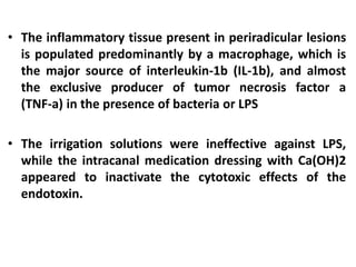 • The inflammatory tissue present in periradicular lesions
is populated predominantly by a macrophage, which is
the major source of interleukin-1b (IL-1b), and almost
the exclusive producer of tumor necrosis factor a
(TNF-a) in the presence of bacteria or LPS
• The irrigation solutions were ineffective against LPS,
while the intracanal medication dressing with Ca(OH)2
appeared to inactivate the cytotoxic effects of the
endotoxin.
 