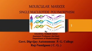 Single nucleotide polymorphism by kk sahu | PPTX