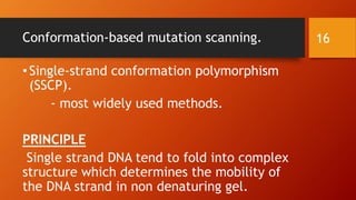 Single nucleotide polymorphism by kk sahu | PPTX
