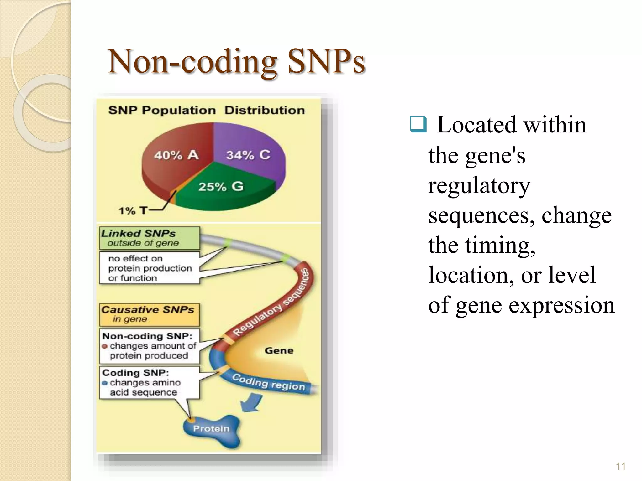 Non-coding SNPs
 Located within
the gene's
regulatory
sequences, change
the timing,
location, or level
of gene expression
11
 