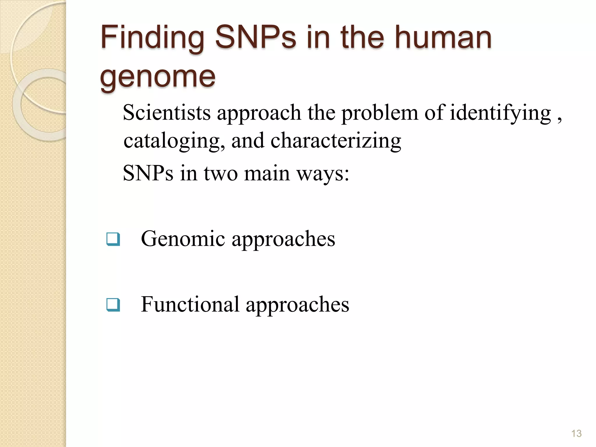 Finding SNPs in the human
genome
Scientists approach the problem of identifying ,
cataloging, and characterizing
SNPs in two main ways:
 Genomic approaches
 Functional approaches
13
 