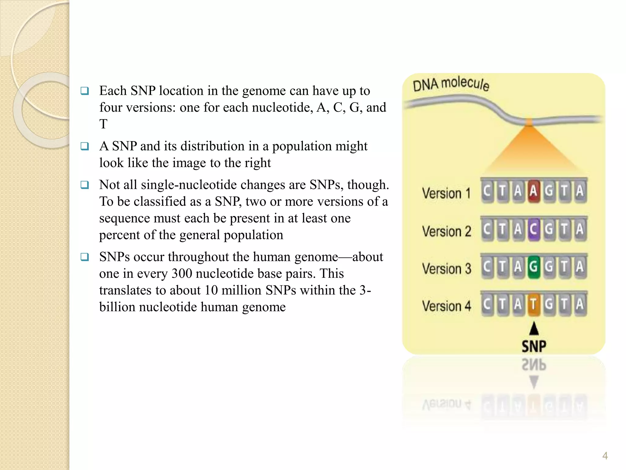  Each SNP location in the genome can have up to
four versions: one for each nucleotide, A, C, G, and
T
 A SNP and its distribution in a population might
look like the image to the right
 Not all single-nucleotide changes are SNPs, though.
To be classified as a SNP, two or more versions of a
sequence must each be present in at least one
percent of the general population
 SNPs occur throughout the human genome—about
one in every 300 nucleotide base pairs. This
translates to about 10 million SNPs within the 3-
billion nucleotide human genome
4
 