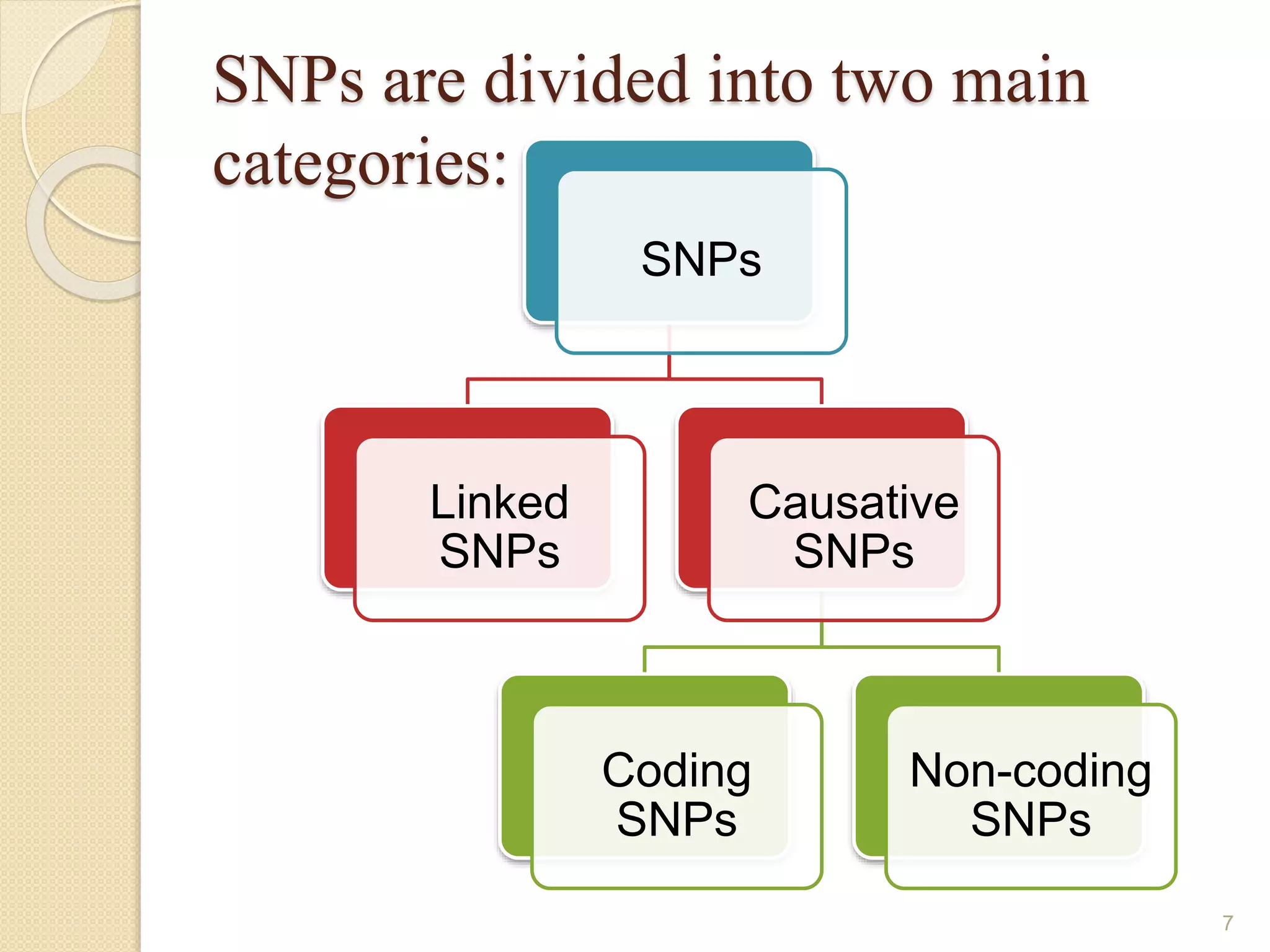 SNPs are divided into two main
categories:
SNPs
Linked
SNPs
Causative
SNPs
Coding
SNPs
Non-coding
SNPs
7
 