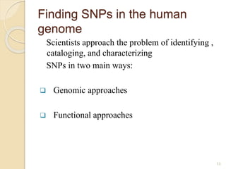 Finding SNPs in the human
genome
Scientists approach the problem of identifying ,
cataloging, and characterizing
SNPs in two main ways:
 Genomic approaches
 Functional approaches
13
 