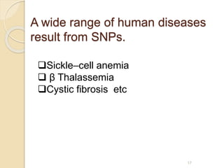 A wide range of human diseases
result from SNPs.
17
Sickle–cell anemia
 β Thalassemia
Cystic fibrosis etc
 