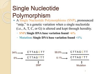 Single Nucleotide
Polymorphism
 A Single Nucleotide Polymorphisms (SNP), pronounced
“snip,” is a genetic variation when a single nucleotide
(i.e., A, T, C, or G) is altered and kept through heredity.
◦ SNP: Single DNA base variation found >6%
◦ Mutation: Single DNA base variation found <1%
C T T A G C T T
C T T A G T T T
SNP
C T T A G C T T
C T T A G T T T
Mutation
94%
6%
99.9%
0.1%
2
 