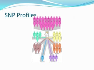Snp Slender Single nucleotide polymorphisms (sn ps), haplotypes, | PPTX