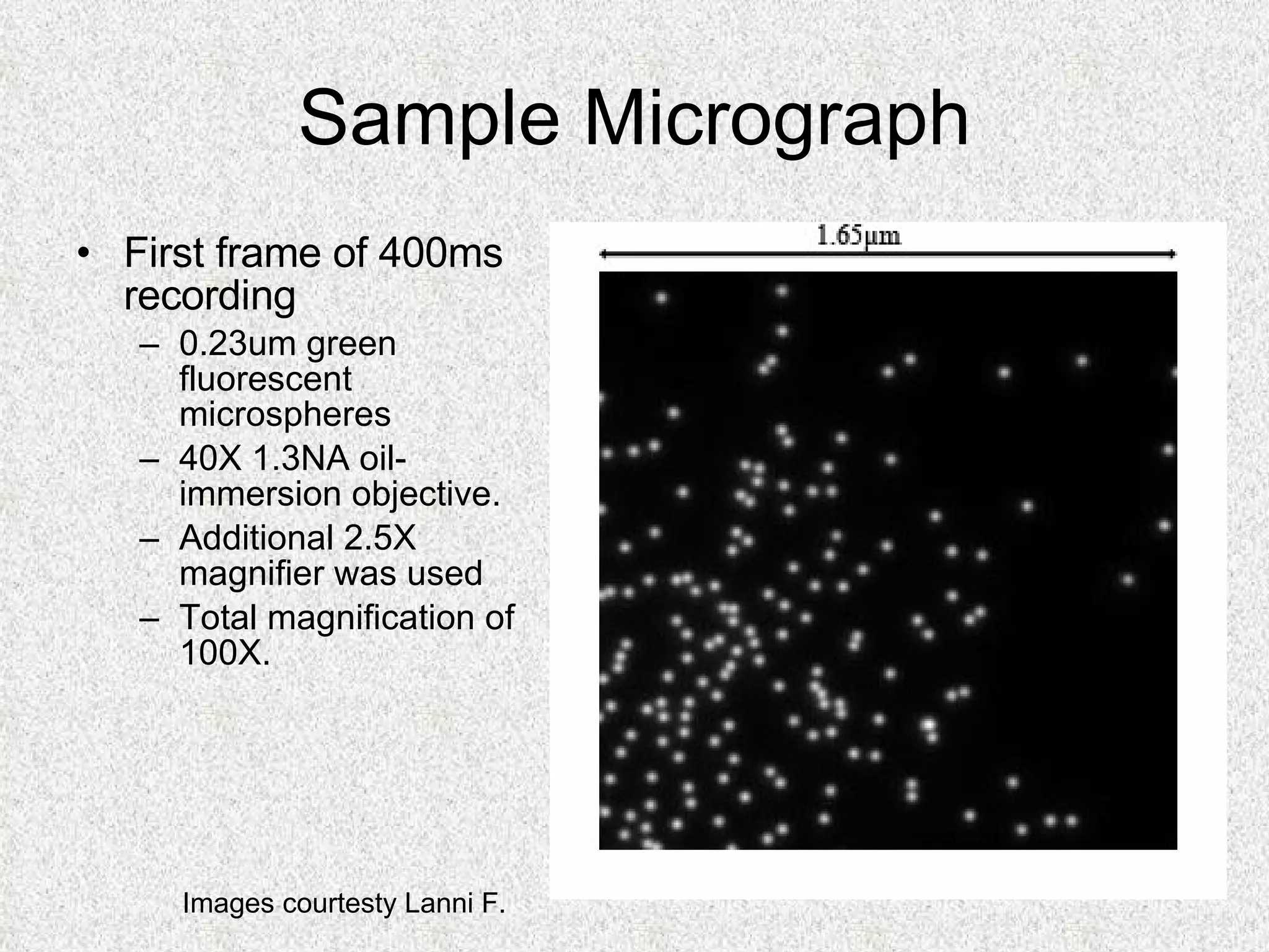 Sample Micrograph First frame of 400ms recording 0.23um green fluorescent microspheres 40X 1.3NA oil-immersion objective. Additional 2.5X magnifier was used Total magnification of 100X.  Images courtesty Lanni F. 