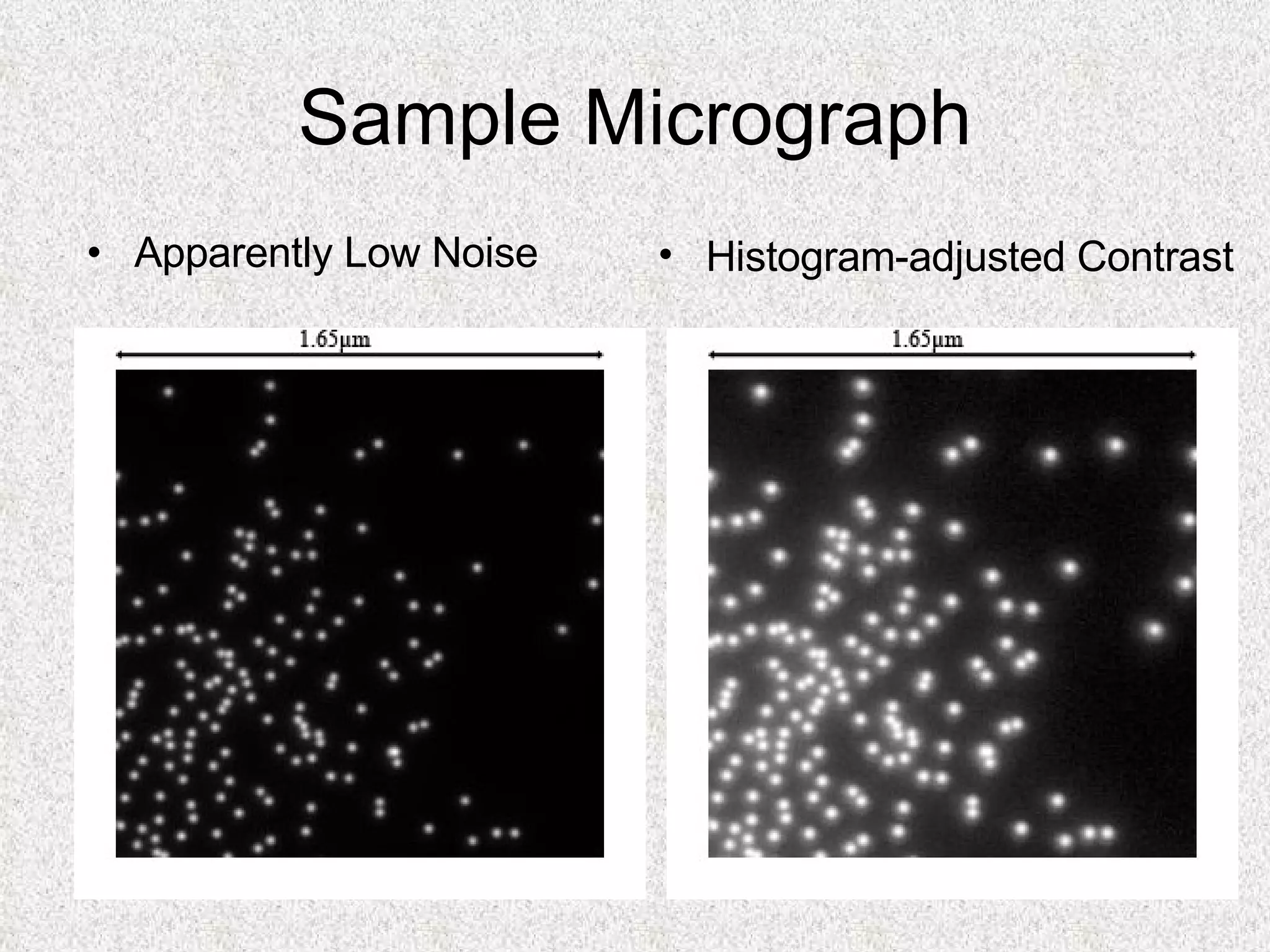Sample Micrograph Apparently Low Noise Histogram-adjusted Contrast 