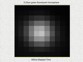 0.23um green fluorescent microsphere 400ms Elapsed Time 