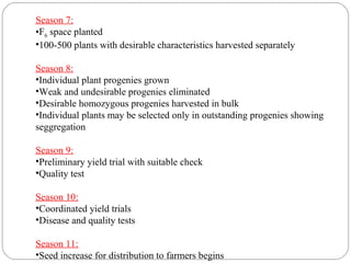 Season 7:
•F6 space planted
•100-500 plants with desirable characteristics harvested separately
Season 8:
•Individual plant progenies grown
•Weak and undesirable progenies eliminated
•Desirable homozygous progenies harvested in bulk
•Individual plants may be selected only in outstanding progenies showing
seggregation
Season 9:
•Preliminary yield trial with suitable check
•Quality test
Season 10:
•Coordinated yield trials
•Disease and quality tests
Season 11:
•Seed increase for distribution to farmers begins
 