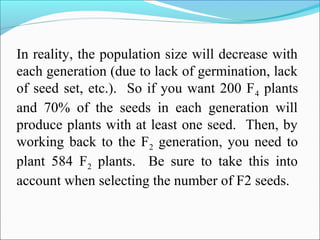 In reality, the population size will decrease with
each generation (due to lack of germination, lack
of seed set, etc.). So if you want 200 F4 plants
and 70% of the seeds in each generation will
produce plants with at least one seed. Then, by
working back to the F2 generation, you need to
plant 584 F2 plants. Be sure to take this into
account when selecting the number of F2 seeds.
 