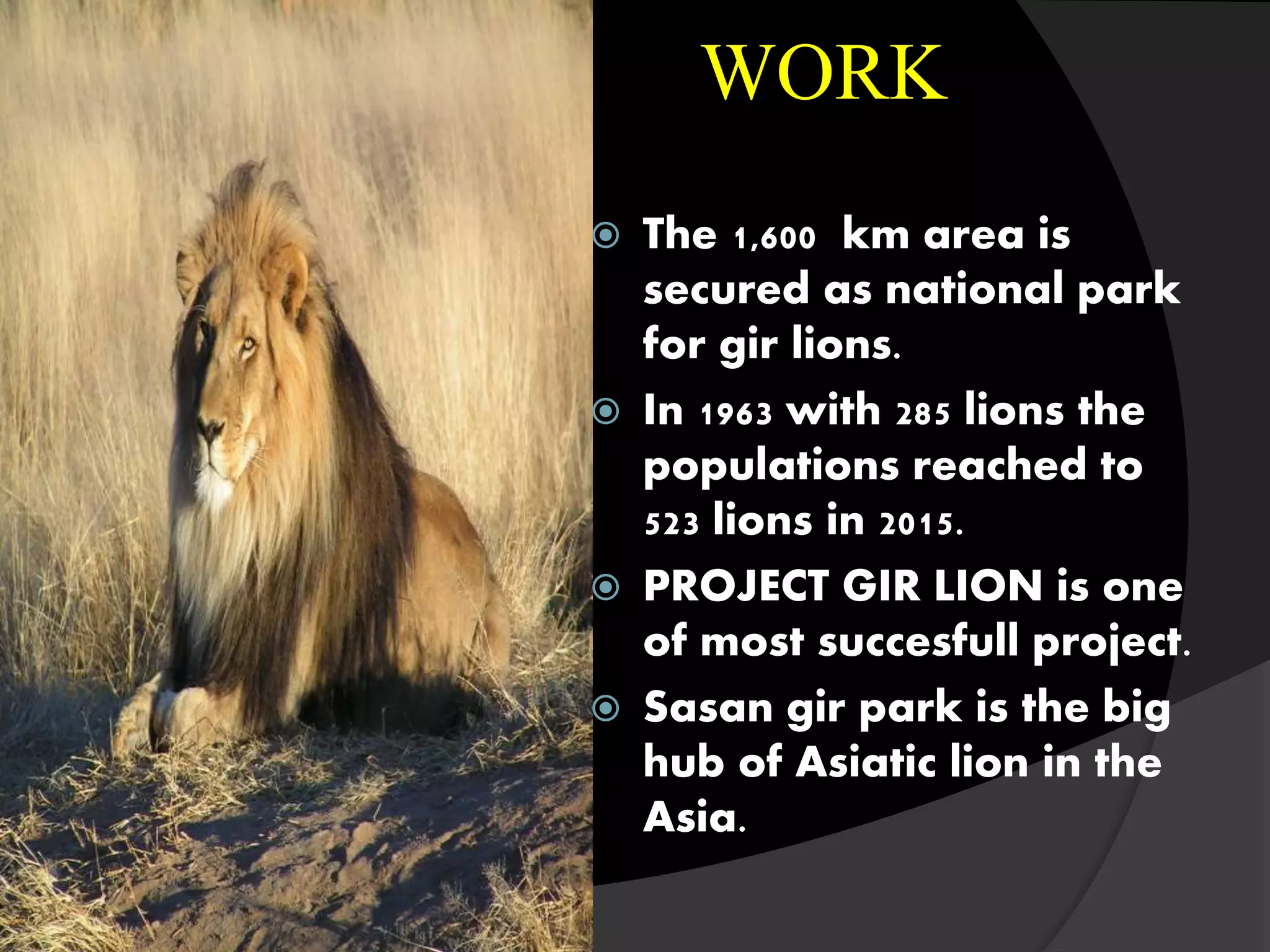 project tiger,project lion,crocodile breeding | PPTX