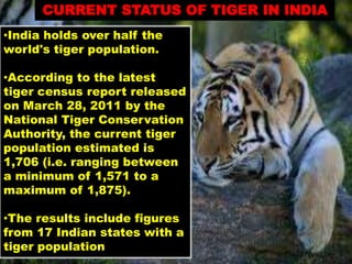 Tiger Project Statistics project tiger,project lion,crocodile breeding | PPTX