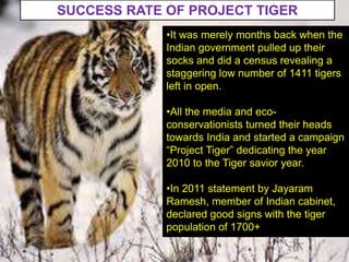 Tiger Project Statistics project tiger,project lion,crocodile breeding | PPTX
