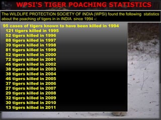 Tiger Project Statistics project tiger,project lion,crocodile breeding | PPTX