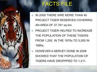 Tiger Project Statistics project tiger,project lion,crocodile breeding | PPTX