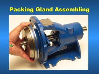 Packing Gland Assembling
 