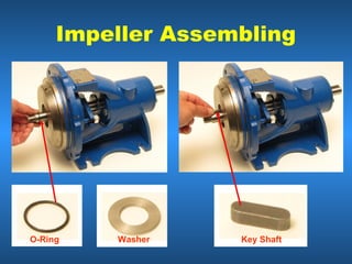 Impeller Assembling




O-Ring   Washer    Key Shaft
 