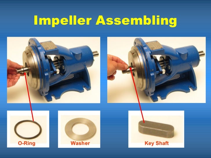 Single Stage Centrifugal Pump Assembly
