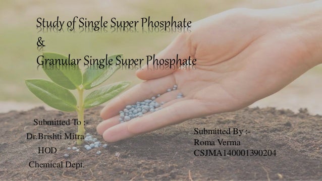Single Super Phosphate