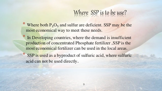 Single Super Phosphate