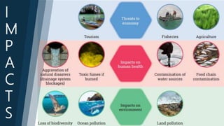 Single use plastic presentation | PPTX