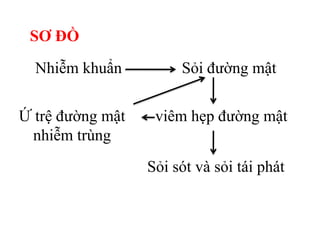 SƠ ĐỒ

  Nhiễm khuẩn          Sỏi đường mật


Ứ trệ đường mật    viêm hẹp đường mật
 nhiễm trùng
                  Sỏi sót và sỏi tái phát
 