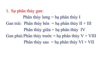 1. Sự phân thùy gan:
          Phân thùy lưng = hạ phân thùy I
Gan trái: Phân thùy bên = hạ phân thùy II + III
          Phân thùy giữa = hạ phân thùy IV
Gan phải:Phân thùy trước = hạ phân thùy V + VIII
          Phân thùy sau = hạ phân thùy VI + VII
 