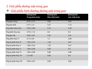 2. Giải phẫu đường mật trong gan
 Giải phẫu bình thường đường mật trong gan:
                        Đường kính        Đường kính      Đường kính
                        Trung bình (mm)   Nhỏ nhất (mm)   Lớn nhất (mm)

Ống gan chung           6,74 ± 1,41       4,84            9,42

Ống gan phải            4,77 ± 1,5        3,31            7,13

Ống phân thùy trước     3,52 ± 0,89       2,16            4,39

Ống phân thùy sau       3,79 ± 1,12       2,8             5,9

Ống gan trái            3,62 ± 0,91       2,22            5,41

Ống phân thùy IV        2,13 ± 0,6        1,4             2,99

Ống hạ phân thùy III    1,99 ± 0,43       1,52            2,61

Ống hạ phân thùy II     1,88 ± 0,53       1,02            2,61

Ống hạ phân thùy V      1,99 ± 0,59       0,95            2,5

Ống hạ phân thùy VI     1,98 ± 0,66       0,89            2,86

Ống hạ phân thùy VII    2 ± 0,65          0,83            2,8


Ống hạ phân thùy VIII   2,08 ± 0,57       0,95            2,86
 
