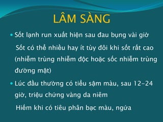 LÂM SÀNG
 Sốt lạnh run xuất hiện sau đau bụng vài giờ
Sốt có thể nhiều hay ít tùy đôi khi sốt rất cao
(nhiễm trùng nhiễm độc hoặc sốc nhiễm trùng
đường mật)
 Lúc đầu thường có tiểu sậm màu, sau 12-24
giờ, triệu chứng vàng da niêm
Hiếm khi có tiêu phân bạc màu, ngứa
 